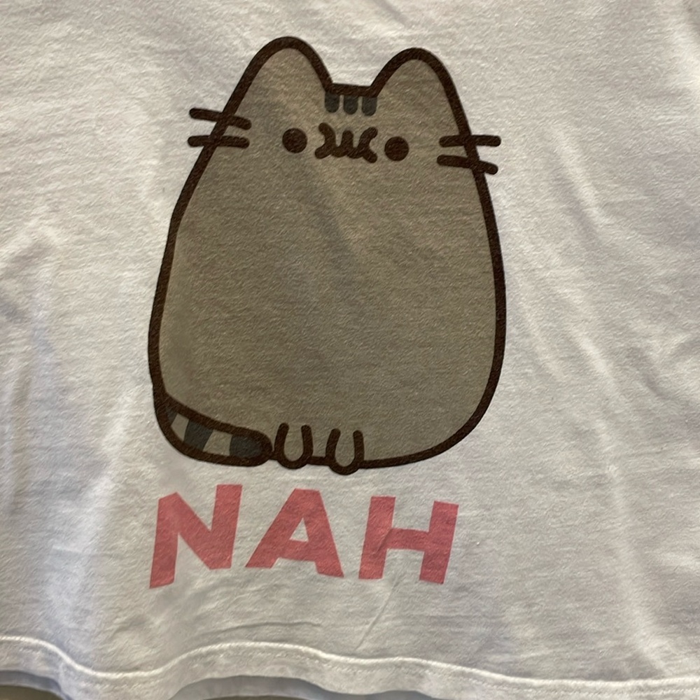Pusheen the Cat PJ Set. Woman’s Medium.